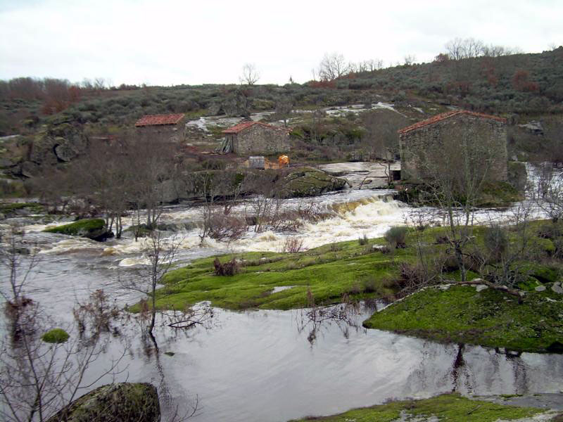 centro-interpretacion-molino-rio-uces-